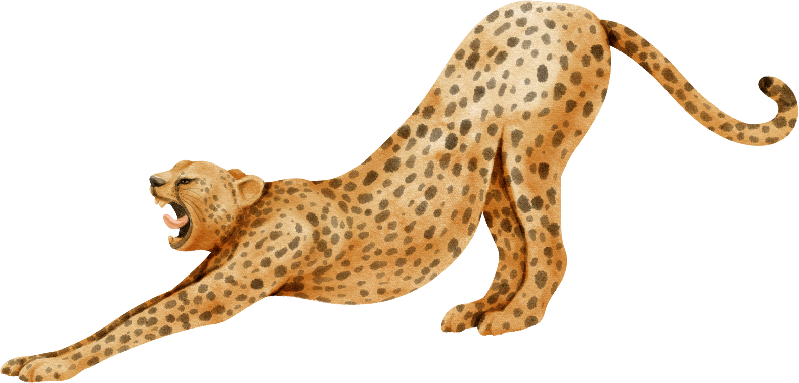 Cheetah savanna animals watercolor illustration